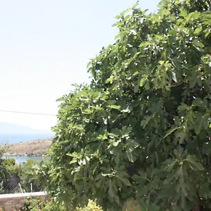 Condo Rooms Saranda